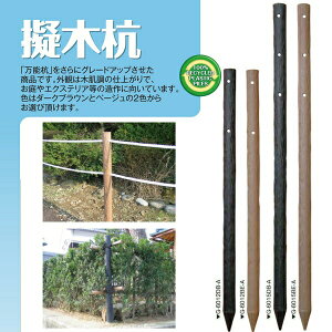 ([J[) [؍Y 60×1200mm 9{(1{2110~) ؔY Y G-6012