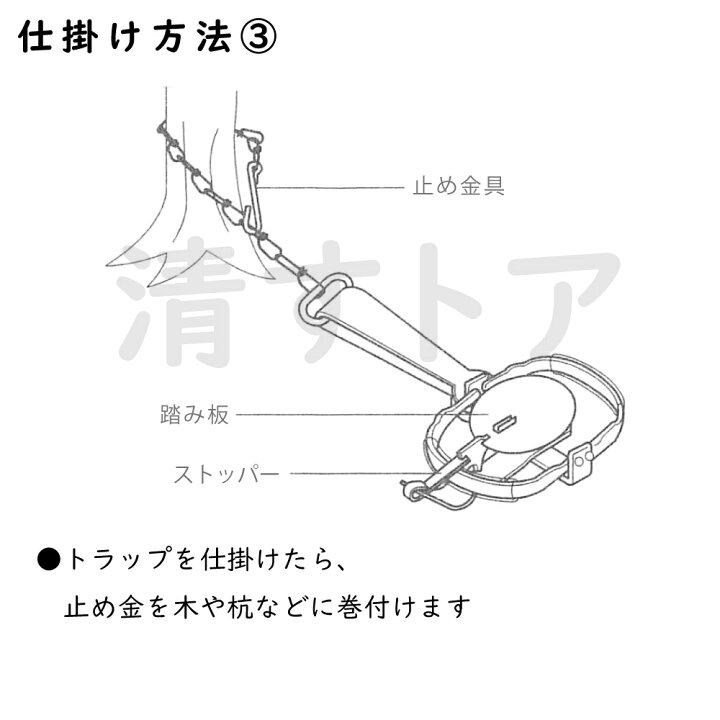 楽天市場 動物トラップ 0号 ビニールパット付 捕獲器 タイワンリス イタチ テン 野ネズミ等の小動物用 罠 国産トラバサミ 寅鋏み 清すトア 楽天市場店