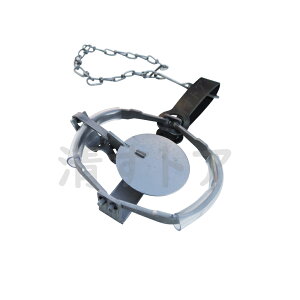 gbv 1 1 rj[pbgt ߊl C^` ETM̏p  goT~ 