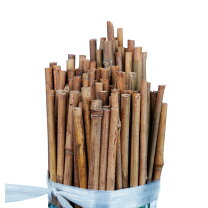 楽天市場】竹 6メートルの通販 