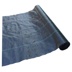 悯V[g 1m×20m 5(1m103~) ϗpN2N hV[g VZC