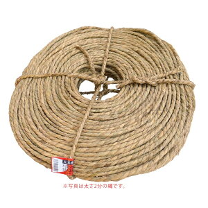 ʓ 3 3kg×5(11740~) VRf  r mȂ ǉn n ߓ VZC