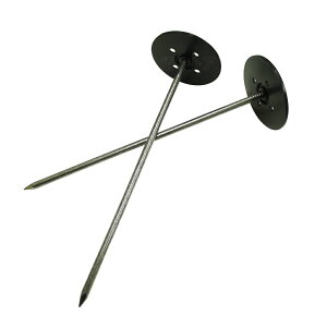 @V[gB ł݌N 20cm@B V[gY