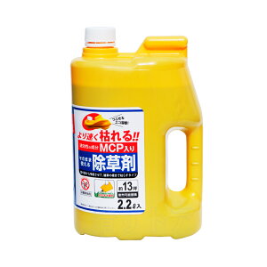 [@ll] GRo^ MCP 2.2L 8{ (1{795~) _knp ߕsv^Cv
