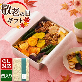 敬老の日 せんべい 詰め合わせ ギフト おかき お菓子 野菜チップス 甘くない ヘルシー お返し 内祝い 5000円 【宴の華小 缶入り 】 出産内祝い 結婚内祝い 手土産 引っ越し 常温 日持ち 和菓子 煎餅 おせんべい お供え お供え物 香典返し プレゼント FLEGRE 残暑見舞い