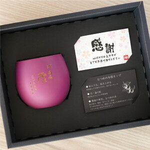 ؐ Jbv v[g  Rbv Ȃ y  GbOJbv J[Ver. { z O R[q[Jbv k  av[g Mtg 20 30  ޏ  