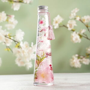 v[g Mtg   G w  n[oE Lx av[g  50 e 60 ` ސEj  ϗtA FB 20 30 c 70 ΂ җj Ê  j