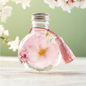 v[g  w  n[oE Sx ސEj   ϗtA   G Mtg av[g e 60 ` 50 FB 30 j jd  vU[uht