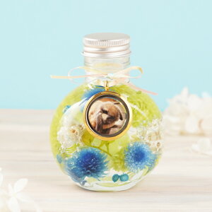 ytwz ybg {      蕨 ʐ^ wӂӂ탁[ n[oE x ybg{ A e     {  r