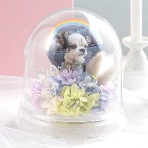 ytwz ybg   vU[uht[  h[ w[ |bgx ~j   蕨 ʐ^ e  ybg{  49 l\ @v   