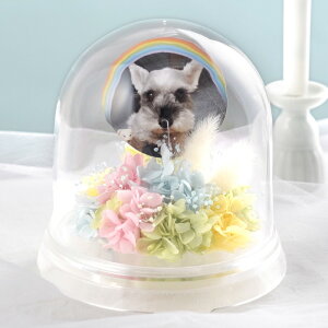 ytwz ybg   vU[uht[  h[ w[ |bgx ~j   蕨 ʐ^ e  ybg{  49 l\ @v   