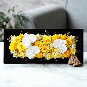 LO j v[g vU[uht[ c Ê w Ӓ  o ̂jt[ x Ǌ| җj    ސEj NސE Vzj j av