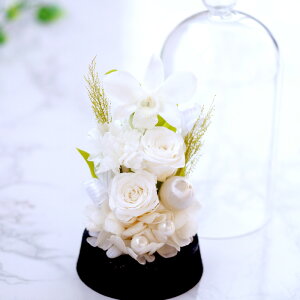 r  vU[uht[  KXh[ w  h[  ~j P[X dp @   d d @v l\ O  ͂Ȃ r