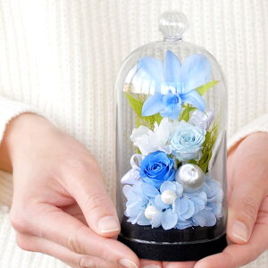 r  vU[uht[  KXh[ w  h[  ~j P[X dp @   d d @v l\ O  ͂Ȃ r