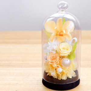 r  vU[uht[  KXh[ w  h[  ~j P[X dp @   d d @v l\ O  ͂Ȃ r