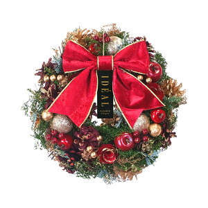 ��39�~�N�[�|����22������ �N���X�}�X���[�X ���� �~ �h�A ���� �E�F���J�� �w ���� �Z���N�g ���[�X M ��25cm�x �k�� ������� �p�[�e�B�[ ����t�� ���� ���O ���֏��� ���� �Ǐ��� �Ǌ|�� LED 