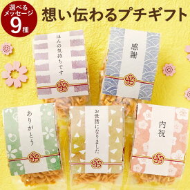 退職 お菓子 お世話になりました プチギフト 500円 甘くない おつまみ ビール ばらまき プレゼント 【 メッセージ お配り ポップル】 お中元 引越し 挨拶 ありがとう 産休 ちょっとした お礼 常温 日持ち 贈り物 スナック菓子 お配り用 休職 御礼 ギフト FLEGRE 父の日