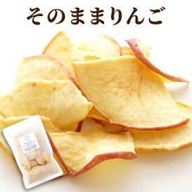お歳暮 お菓子 りんごチップス りんご プチギフト 【 アップル リーフ 平袋入り 】 手土産 常温 日持ち お土産 職場 退職 お礼 お祝い返し 内祝いお返し 1000円 贈答品 お供え物 りんごのお菓子 りんごチップ おかし おやつ リンゴ Xmas クリスマス FLEGRE