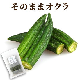 甘くない お菓子 野菜チップス ギフト 【 オクラチップ 平袋入り 】 プチギフト 手土産 日持ち 常温 お土産 贈り物 おつまみ お礼 挨拶 ご挨拶 お祝い 内祝い お返し 1000円 お祝い返し 贈答用 贈答品 お供え物 おくら おやつ プレゼント ヘルシー 喪中見舞い