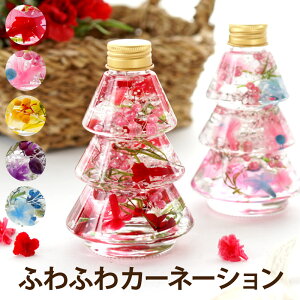 n[oE Mtg v[g  w ~j J[l[V ̂ӂӂn[ox ސEj av[g  ` e 60 FB 30 20 c җj   Ê  j 