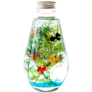 ֏ G  v[g q ϗtA JXj w  n[oE Lx zj   CeA G u ANAE  av[g FB M