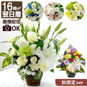ytwz ފ   AWg H   w  ܂AW  ԑyBzx ̐l  蕨 l\ 䕧O  @ @v  V d 