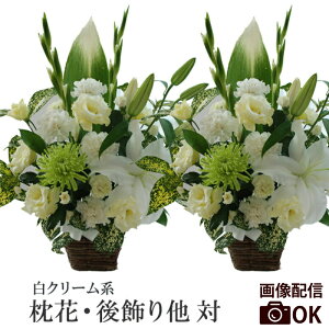 ytwz   AWg   ފ w Ƒ  ΁x  蕨    @ @v AW d l\  O   d 