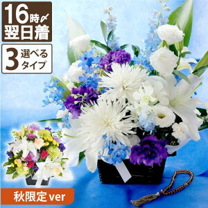 ytwz ފ   H AWg    w  ܂ AW [X ԑ yCzx    蕨  t[AWg 