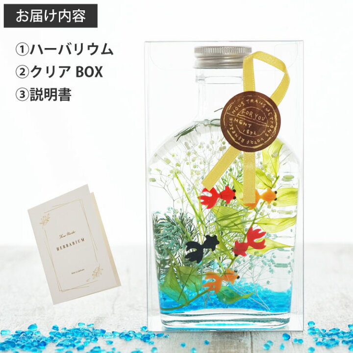 楽天市場】玄関飾り 季節 おもしろ プレゼント 子供 観葉植物 開店祝い 