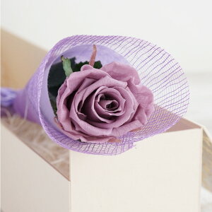 d     jd w o  ԓd x LO  e v[g [Y KN j FB  FB  vU[uht[ v|[Y җj   a