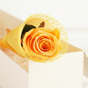 d     jd w o  ԓd x LO  e v[g [Y KN j FB  FB  vU[uht[ v|[Y җj   a