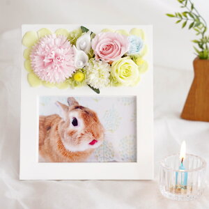 ybg  蕨 tHgt[ w A tHgX^h x r   ybg{ ʐ^  AObY e vU[uht[ \[vt[ ʐ^ 