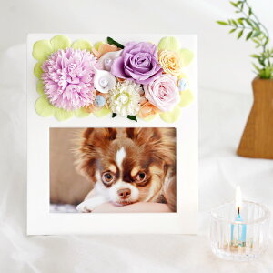 ybg  蕨 tHgt[ w A tHgX^h x r   ybg{ ʐ^  AObY e vU[uht[ \[vt[ ʐ^ 