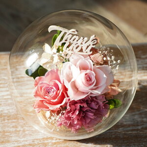 җj vU[uht[ o  j  v[g wʂ ou h[ x Êj Ďj j    Mtg av[g e ԑ `  60 50 c 