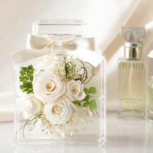  vU[uht[ o Mtg w pt[ {g ^ t[ x av[g  50 j  ސEj ͂Ȃ e ` 60 70 ΂ җj 