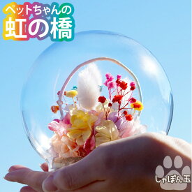 【あす楽＆日付指定可】 ペット お供え プリザーブドフラワー 仏花 ドーム 『 虹の橋 しゃぼん玉 』 ガラスドーム アレンジ 犬 お悔やみ 贈り物 ペット供養 手元供養 ペット仏壇 お供え物 お供え花 花 かすみ草 ラグラス 猫 鳥 インコ うさぎ ハムスター プリザ 花まりか