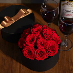 vU[uht[ o KN  sN 12{ w v|[Y [Y {bNX x TvCY LO v[g  15N 30N  LO t f[ ގ ޏ av[