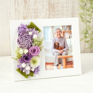 ytwz vU[uht[  tHgt[ e w  ʐ^ x ybg ʐ^ t[     d 䕧O ͂Ȃ  @ @v l\