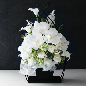 ytwzފ      w ͂Ȃ 䋟 AW LilyxvU[uht[   A[eBtBVt[ S  蕨  