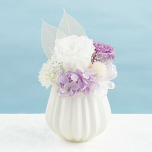 ytwz d d l\@v    w   x vU[uht[ dp ~jTCY  d 䕧O  ͂Ȃ  @ @v 