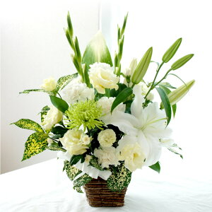 ytwz ފ   AWg H   w  ܂AW  ԑyBzx ̐l  蕨 l\ 䕧O  @ @v  V d 