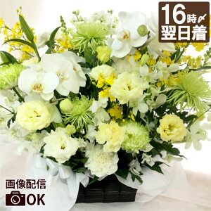 ytwz    AW   w  ܂ AWg  ԑ Ex 1 l\  O    r 蕨  