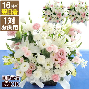 ytwz ފ   AWg    w   AW yTDzx   ̉ 蕨 zB dp   d 䕧O @ @v  l\