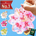 花 ハーバリウム ギフト お菓子セット スタバ 『 サクラ ノカタチ』 誕生日プレゼント 母親 60代 桜 雑貨 女性 誕生日 義母 妻 50代 女友達 30代 祖母 還暦祝い 古希祝い 結婚式 おしゃれ かわいい 玄関飾り 季節 造花 さくら コーヒー FLEGRE