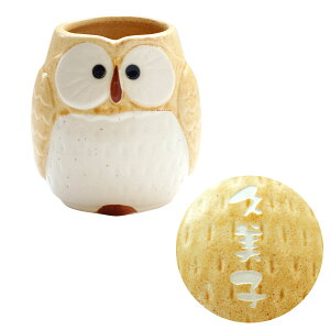 av[g e 60 ۂ  ΂ v[g ŋz  y pXe ӂ낤    Zbg z O Mtg ӂ낤ObY 킢 50 70 a  