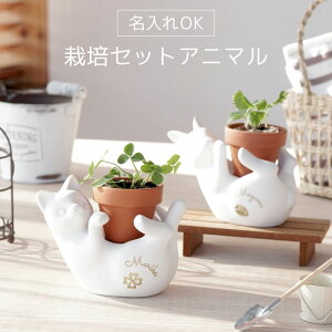 猫 花 プレゼント 農業資材 ガーデニング用品の人気商品 通販 価格比較 価格 Com