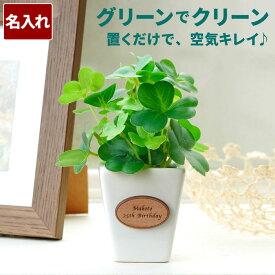 楽天市場 観葉植物 イベント 祝日母の日 花 ガーデン Diy の通販