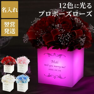 一輪 花 プレゼントの人気商品 通販 価格比較 価格 Com 一輪 花 プレゼントの人気商品 通販 価格比較 価格 Com