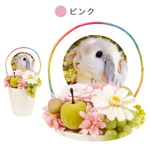 ytwz vU[uht[  ybg r  w ̋ x ~j d    蕨 l\ @v AObY ʐ^ A ybg{ 