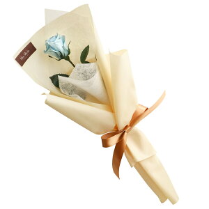 o v|[Y vU[uht[ KN ԑ { w wNGXg [Y x av[g ޏ    ỏԑ  j LO v[g  e 10N 